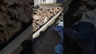 🤣🤣🤣 Без комментариев 