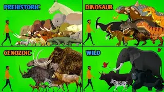 All Walking Animals Size Comparison | Animals Animation