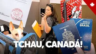 TCHAU, CANADÁ! Preparativos da viagem ao BRASIL, documentação do Link, bagagem, passagem aérea... ✈️