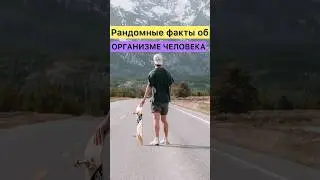 РАНДОМНЫЕ ФАКТЫ ОБ ОРГАНИЗМЕ ЧЕЛОВЕКА