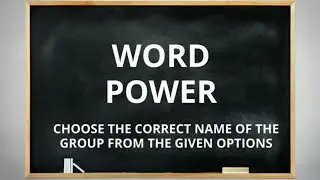 Choose the  Collective noun / name of the group | 10 unique collective nouns. How many do you know