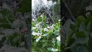 Bakida qar  2025  vasmoy km 