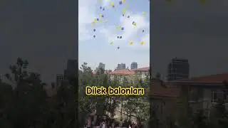 LGS balonları #yks2025 #tyt #yks #ayt2025 #fyp