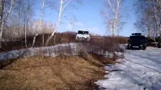 Лехин нивасик