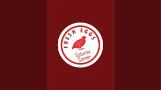 Coturnix Corner is live!