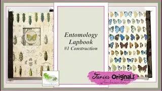 Entomology Lapbook - Construction