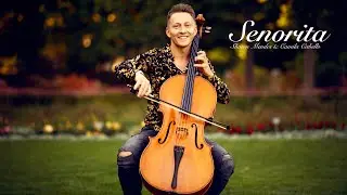 Senorita - Shawn Mendes, Camila Cabello / Cello Cover by Jodok Vuille