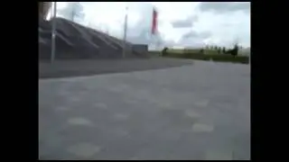 Орёл напал на собаку на глазах у людей.