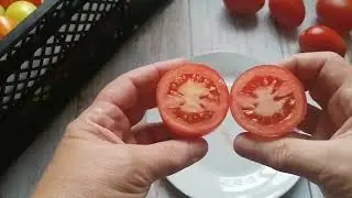 № 275 томаты сорта 