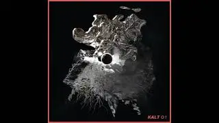 Avsluta - We Watched Night Create Day [KALT VA-01]
