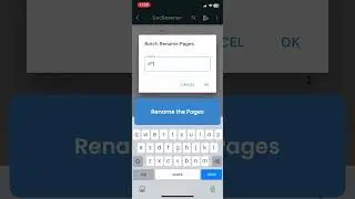 How to rename multiple pages in a document at once
