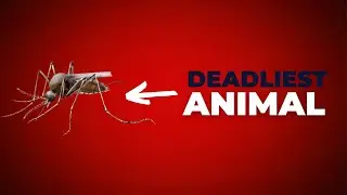 10 Bizarre Facts You Won't Believe Are True