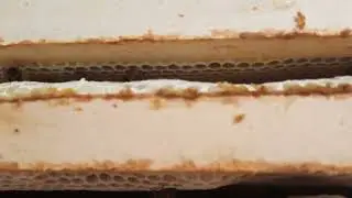 Начало главного взятка.