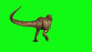 T Rex   | Green Screen: Chroma Key Full 1080p HD