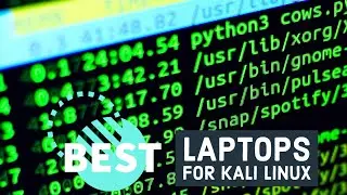 Best Laptops for Kali Linux in 2023