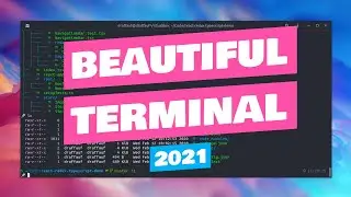Beautiful Terminal 2021