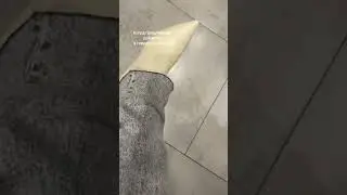 Каблуки или кеды?
