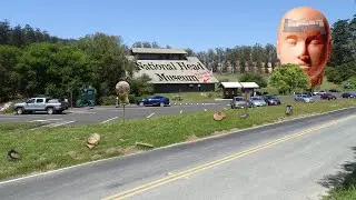 UGLY BABY S2E4: The National Head Museum