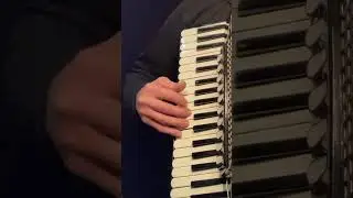 Domino #france #frenchmusic #accordéon #accordion #fisarmonica #waltz #karaoke