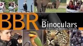 Swarovski CL Binoculars: 8x25 vs 10x25 versions