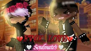🤍Soulmates🤍||💔FV€K LOVE💔