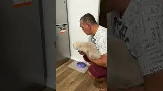 Очень смешной Анекдот, Жена на диете.