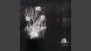 Он не такой, как все