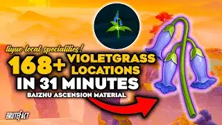 All 184 Violetgrass Locations | Efficient Route | Baizhu Ascension Materials | Genshin Impact