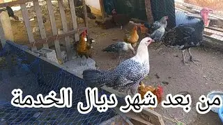 من بعد شهر  ديال الخدمة تعديل سلك بالحيط فيه 25 متر