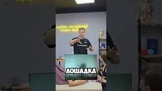Самые лучшие новые связи - нейронные