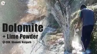 Dolomite + Lime powder to maintain pH level of the soil | COK, Khaneti, Kotgarh | The Apple Talks