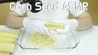 『Yui ASMR』🍜 REMOVING CORN SEED ASMR - Crushing ASMR