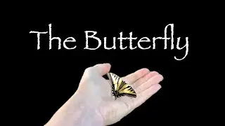 The Butterfly Poem