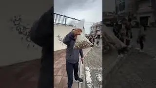 FERIA DE CATZOS - COMIDA ANCESTRAL EN PUEBLO OTAVALO