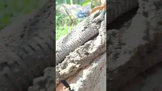 Com colocar pingados em muro