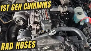 Radiator Hoses | 1st Gen Cummins