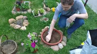 Сажаем цветы на наши клумбы возле дома