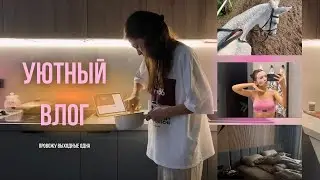 Как я провожу время одна? // влог: выходные в Москве