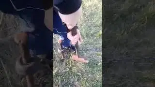 заводу Боронов с Коленом хэштег горит Школа 🏫