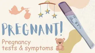 Pregnancy Test and Symptoms: First Pregnancy