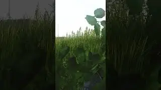 This IS Escape From Tarkov...