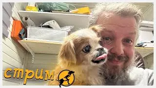 Хвостатое счастье в прямом эфире!