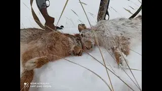 КЛАССНАЯ ОХОТА НА ЗАЙЦЕВ! 6.01.2020
