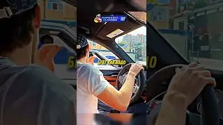 😳Венгалби ПОКАЗАЛ ВЛАДЕЛЬЦУ - ЧЕТЫРКИ КАК НАДО! 