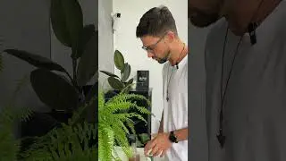 2 métodos para eliminar cochonilha! #plantas #adubofoliar #vasoautoirrigavel #dicasdeplantas