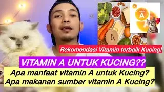 VITAMIN UNTUK KUCING | apa manfaat Vitamin A untuk Kucing dan apa sumber vitamin A untuk kucing