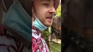 Tim and Jonas Avatar EMP Instagram Takeover during Shiprocked 2022