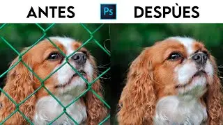 Cómo eliminar objetos en Photoshop fácilmente ✅ EN 2 PASOS!