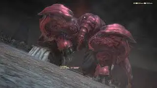 FF XIV - Cinder Drif EX aka Red Weapon Kill - PLD PoV