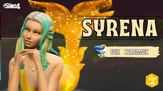 WSZYSTKO O SYRENIE 🧜‍♀️